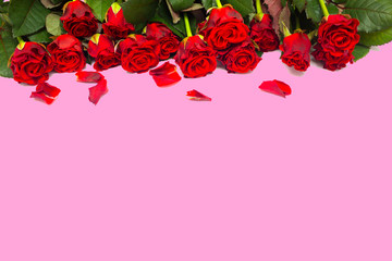 red roses on a pink background