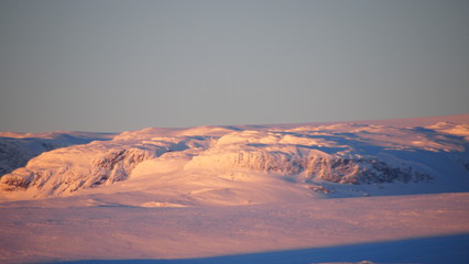 Naklejka premium OLYMPUS DIGITAL CAMERA