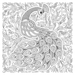 Peacock in zentangle style. Adult antistress coloring page.