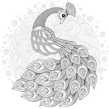 Hand drawn decorated swan.  Image for adult coloring books, pages