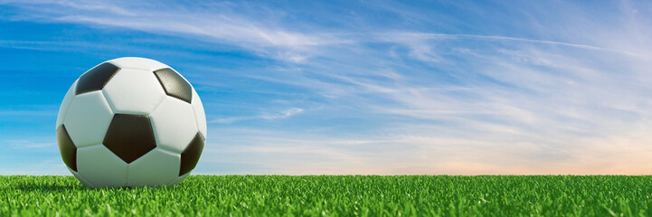 Fußball auf Rasen vor Himmel © Robert Kneschke