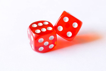 Dice on a white background . Game concept. Games of chance