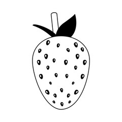 Strawberry delicious fruit vector illustration graphic design