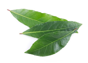 Obraz premium Bay leaves isolated on white background