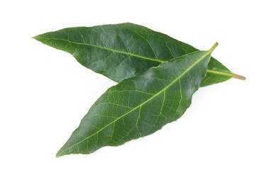 Bay leaves isolated on white background