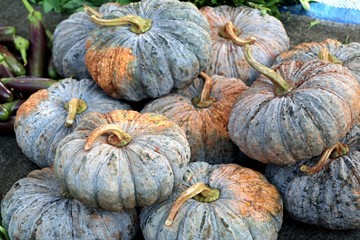 Pumpkin at street food