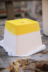 Handmade potted plants, Children coloring potted plants