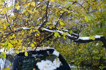 Первый снег 