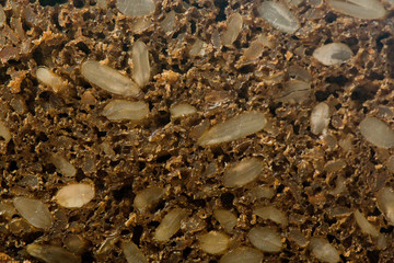 A Variety Of Freshly Baked Bread In A Wicker Basket