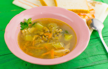 Soup with carrots, meat potatoes and condiments in a plate in a pink plate on a green wooden background.