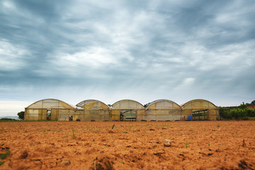 Fototapeta na wymiar Agriculture and farming background with some weathered greenhouses next to tilled land. Cloudy sky and empty copy space for Editor's text.
