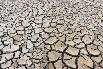 Pattern of cracked ground at the seashore. Brown, beige, light tan and grey colored background.