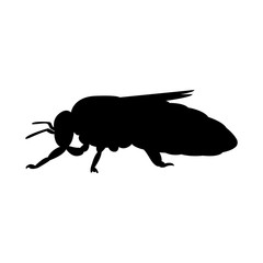 silhouette honey bee side icon