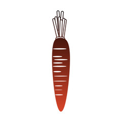Carrot fresh vegetable isolated vector illustration graphic design