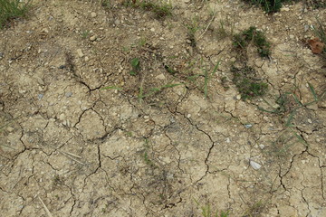 TERRE SÈCHE EN ÉTÉ
