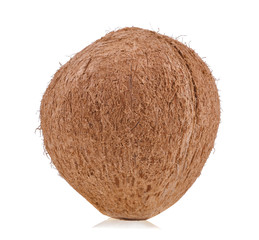 Coconut isolated on white background