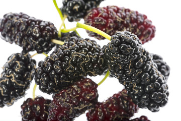 mulberry - Morus nigra - healthy fruit close up