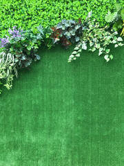 Beautiful artificial plant wall background