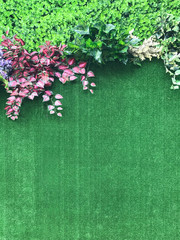 Beautiful artificial plant wall background