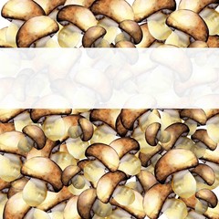 mushrooms painted with watercolour