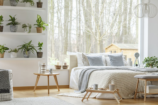 Natural bedroom interior with plants