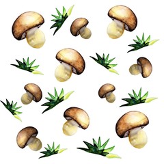 mushrooms painted with watercolour