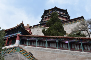 Naklejka premium china