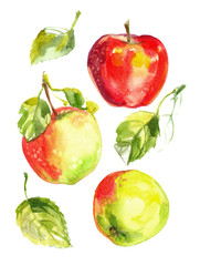 Apples painted with watercolors on white paper