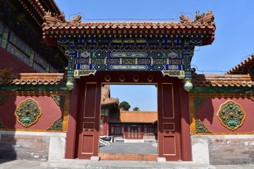 Fototapeta premium china