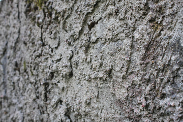 Grey textured concrete wall