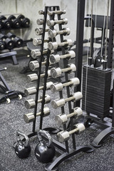 Rows of metal heavy dumbbells on stand in sport gym.