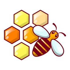 Bee honeycomb icon. Cartoon of bee honeycomb vector icon for web design isolated on white background