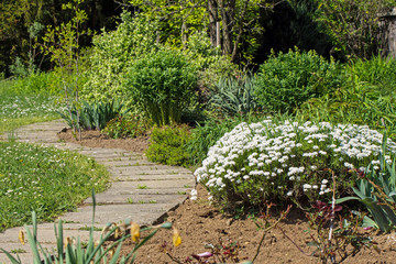 a whirling walkway in the middle of the garden