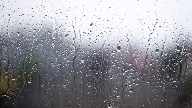 rain drops on the window