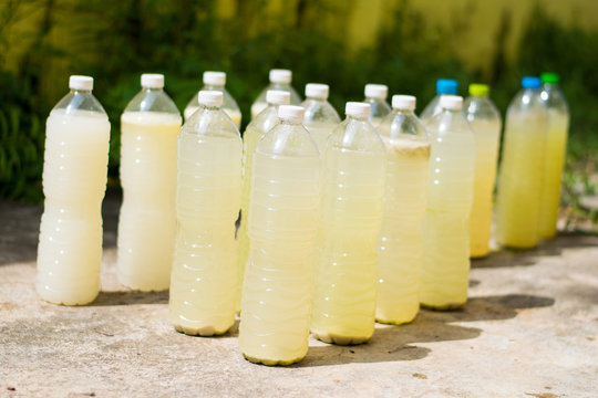 Bottle of Enzyme Ionic Plasma