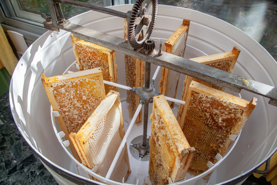Apiculture - Extraction du miel
