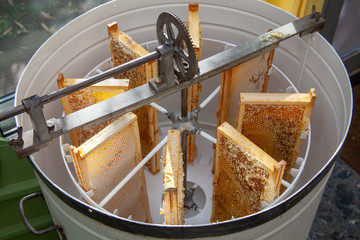 Apiculture - Extraction du miel