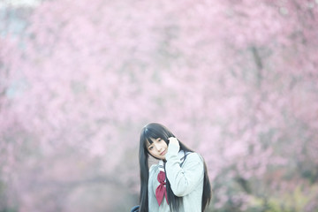 Japanese school girl dress looking sakura flower nature walkway