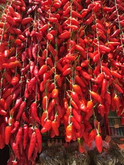 Calabrian Chile Peppers for Sale