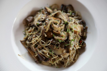 Spaghetti truffle cream sauce with mushroom