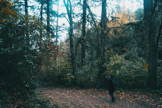 Fototapeta Girl walking on a path in the forest