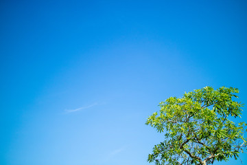  sky with clouds background