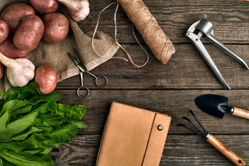 Red potatoes on burlap, garlic with greenery and a garden spade and rake on a wooden brown...