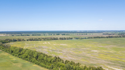agriculture green fields aerial view