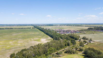 Fototapeta na wymiar agriculture green fields aerial view
