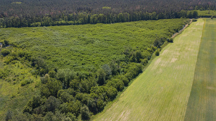 Obraz premium agriculture green fields aerial view