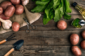 Fresh potatoes, oil, garlic and spicy herbs on a kitchen wooden background. Fresh vegetables from...