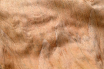 close up brown banana leave