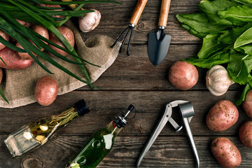 Fresh potatoes, oil, garlic and spicy herbs on a kitchen wooden background. Fresh vegetables from...