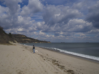 Young woman walking a dog on a sandy beach on a sunny day
